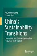 China’s Sustainability Transitions