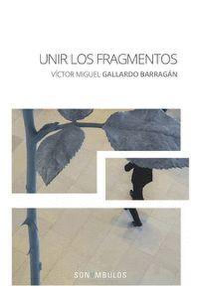 Gallardo Barragán, V: Unir los fragmentos