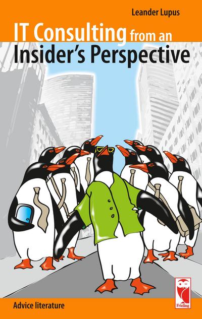 IT Consulting from an Insider’s Perspective