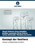Konzept der Resilienz