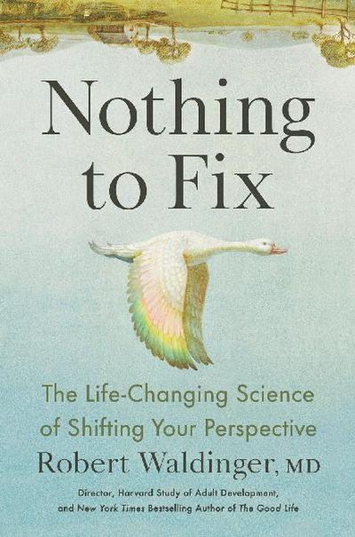 Nothing to Fix