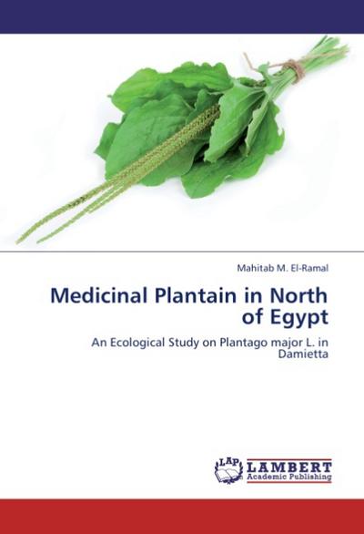Medicinal Plantain in North of Egypt