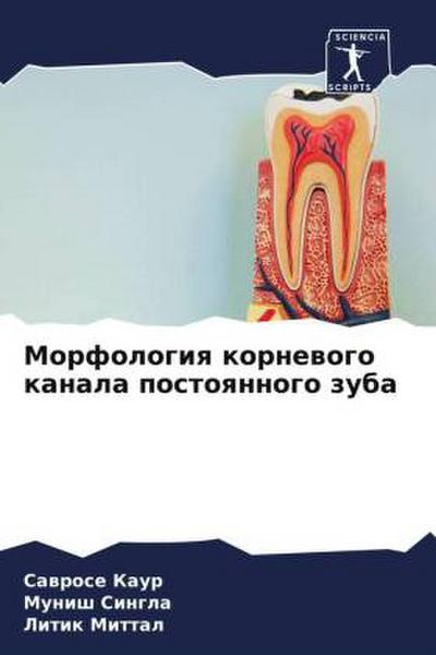 Morfologiq kornewogo kanala postoqnnogo zuba