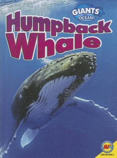 Humpback Whale