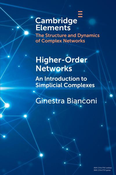 Higher-Order Networks