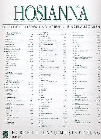 Ave Mariafür Gesang (tief) und Klavier (la/dt)