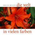 Die Welt in vielen Farben