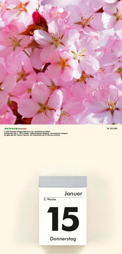 Bildrückwände für Typ 301 und 302 Blumen sortiert