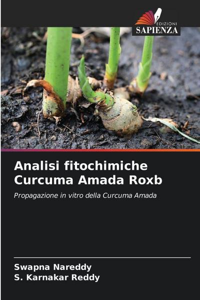 Analisi fitochimiche Curcuma Amada Roxb