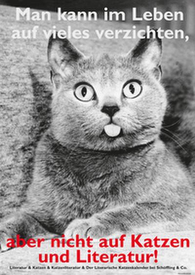 Postkarte Katzen und Literatur