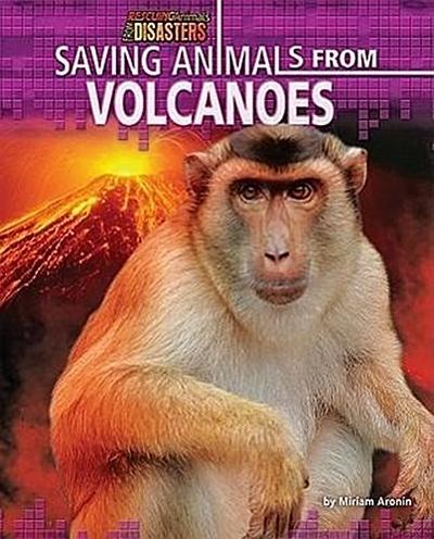 Saving Animals from Volcanoes
