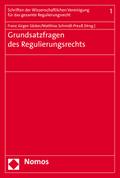 Grundsatzfragen des Regulierungsrechts