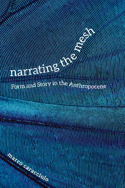 Narrating the Mesh