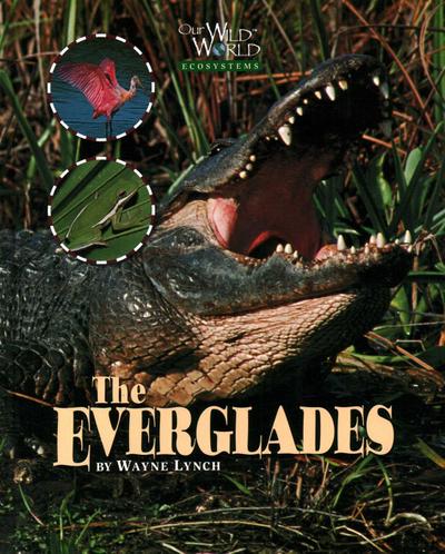 Everglades