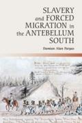Slavery and Forced Migration in the Antebellum Sou