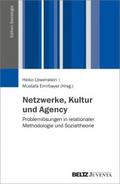 Netzwerke, Kultur und Agency