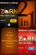 Wo kein Licht / Wie sie töten - Zwei Zorn-Thriller in einem Band