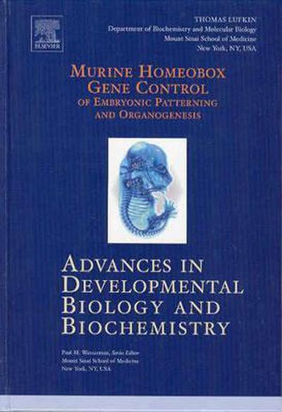Murine Homeobox Gene Control of Embryonic Patterning and Organogenesis