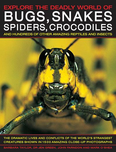 Explore the Deadly World of Bugs, Snakes, Spiders & Crocodiles