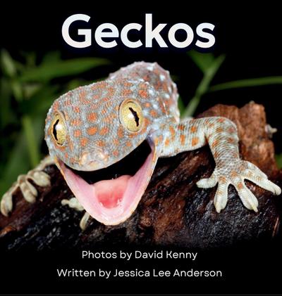 Geckos