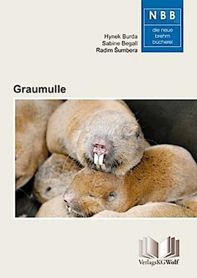 Graumulle - Cryptomys und Fukomys