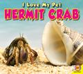 Hermit Crab