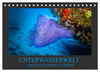 Unterwasserwelt - Das Leben am Korallenriff (Tischkalender 2024 DIN A5 quer), CALVENDO Monatskalender