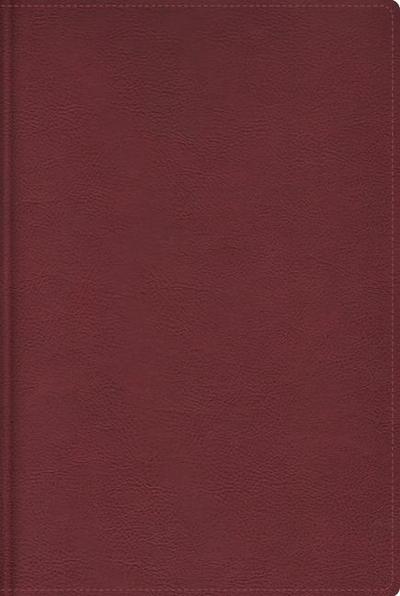 Rvr, Biblia de Estudio Trasfondo Cultural, Leathersoft, Rojo Vino, Interior a Color, Comfort Print