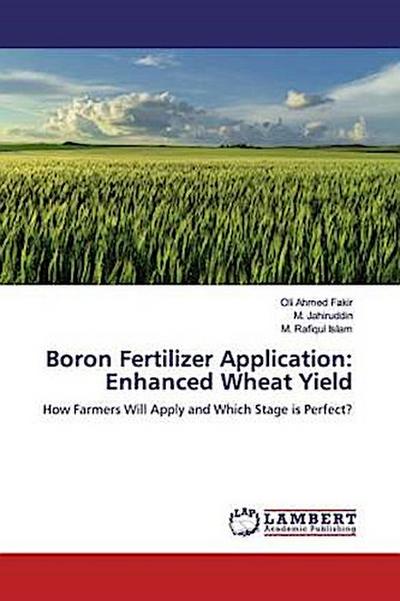 Boron Fertilizer Application: Enhanced Wheat Yield