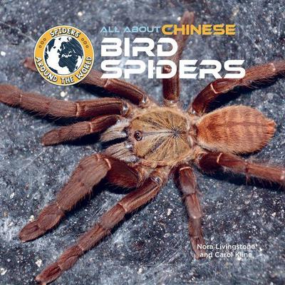 All about Chinese Bird Spiders