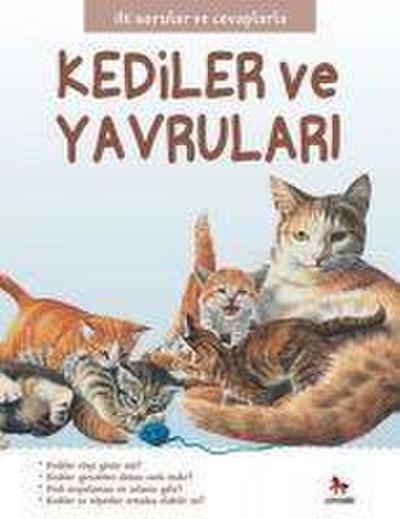 Kediler ve Yavrulari