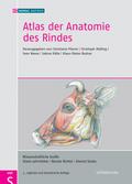 Atlas der Anatomie des Rindes