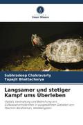 Langsamer und stetiger Kampf ums Überleben