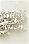 An Unkindness of Magicians: Volume 1 (Unseen World, The, Band 1)