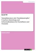 Naturphänomen oder Naturkatastrophe? Ursachen, Ent