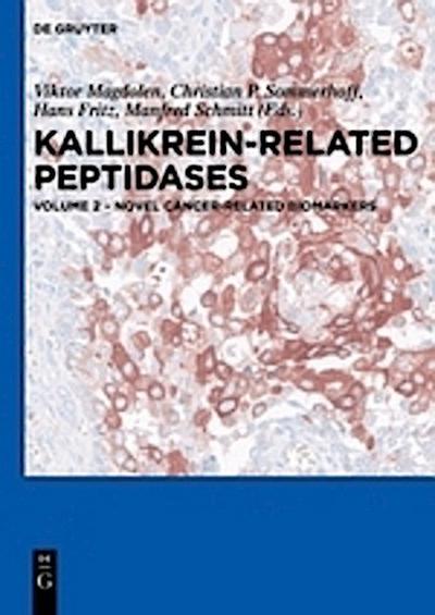Kallikrein-related peptidases Novel cancer-related biomarkers