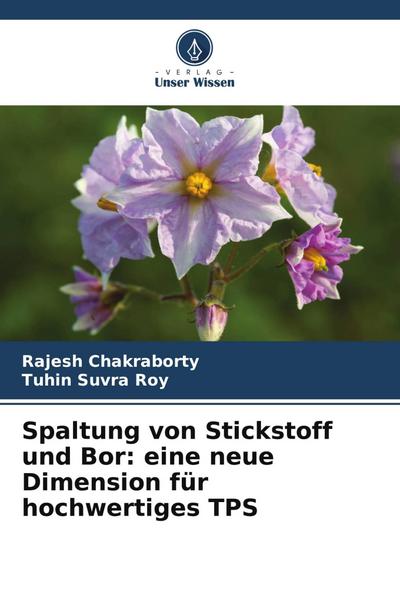 Spaltung von Stickstoff und Bor: eine neue Dimension für hochwertiges TPS