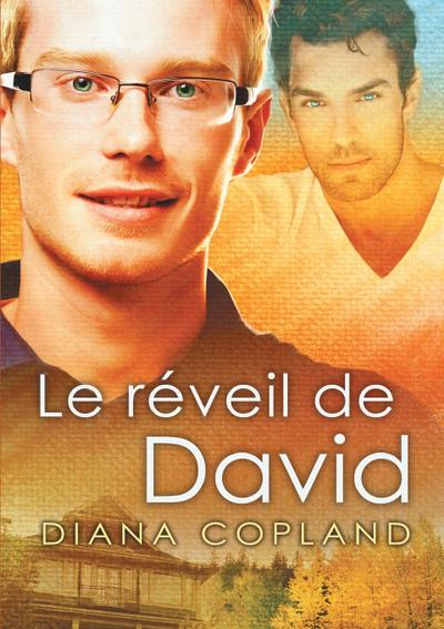 Le réveil de David