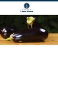 Integrierte Pflanzenschutzmittel in Brinjal
