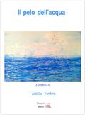 Il pelo dell’acqua