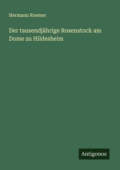 Der tausendjährige Rosenstock am Dome zu Hildesheim