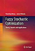 Fuzzy Stochastic Optimization