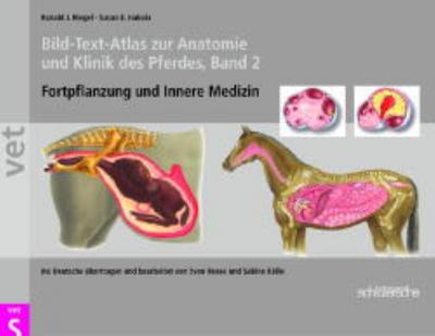 Bild-Text-Atlas zur Anatomie und Klinik des Pferdes. Bd.2
