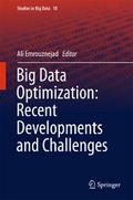Big Data Optimization: Recent Developments and Challenges