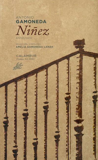 Niñez