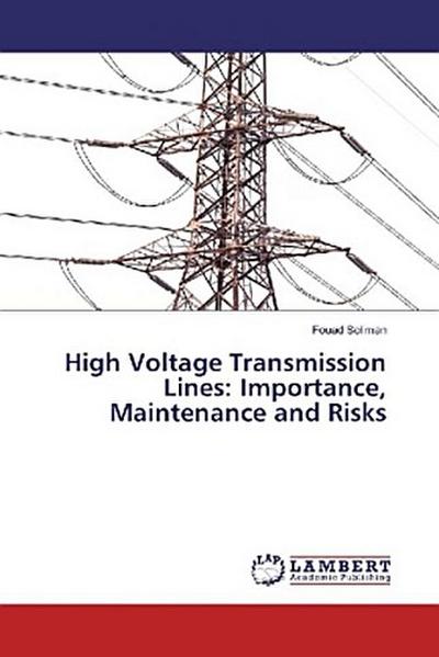 High Voltage Transmission Lines: Importance, Maintenance and Risks