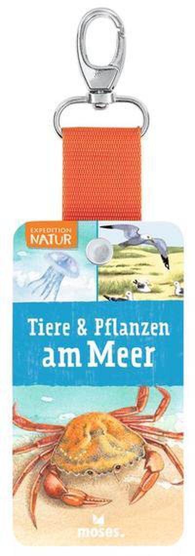 Expedition Natur - Tiere & Pflanzen am Meer