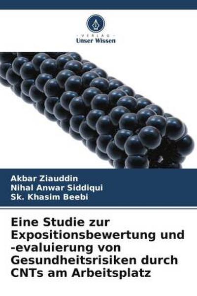 Eine Studie zur Expositionsbewertung und -evaluierung von Gesundheitsrisiken durch CNTs am Arbeitsplatz