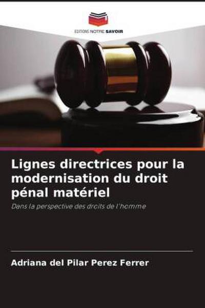 Lignes directrices pour la modernisation du droit pénal matériel