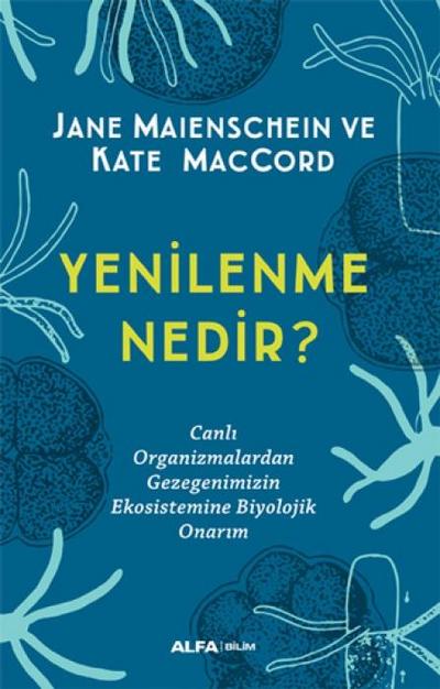 Yenilenme Nedir